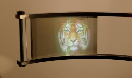 image projected through curved wedge, tiger from picinterest.com